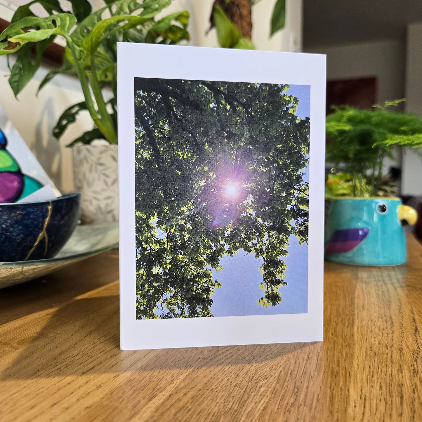 Lie Down, Look up and Breathe - Fine Art Greetings Card