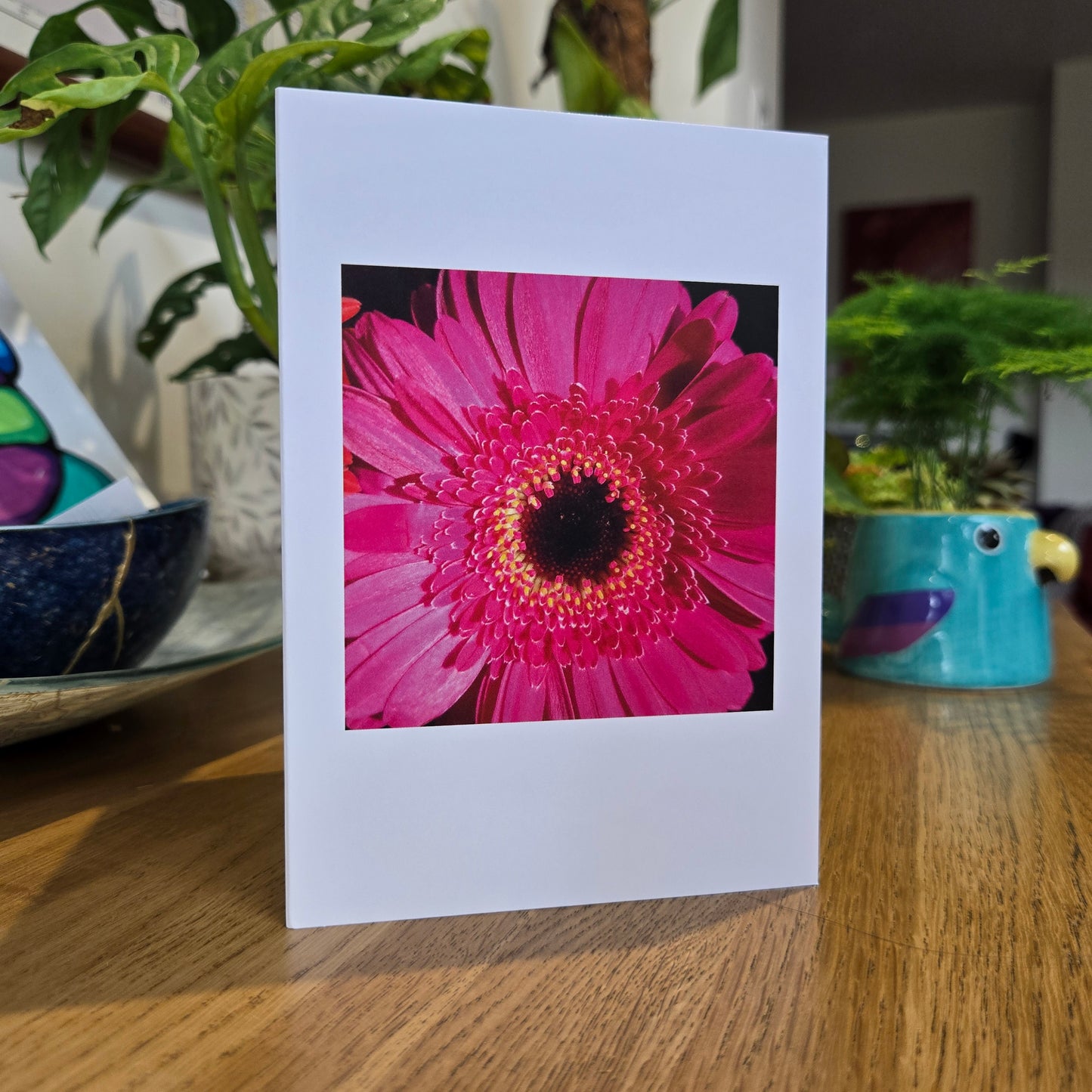 Pink Gerbera - Fine Art Greetings Card