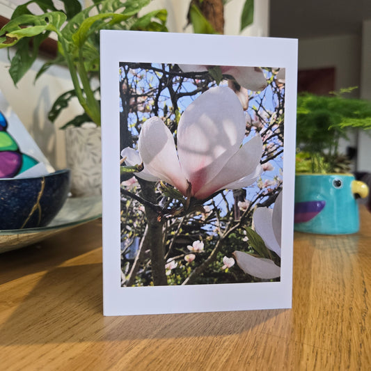Sunlit Magnolia - Fine Art Greetings Card