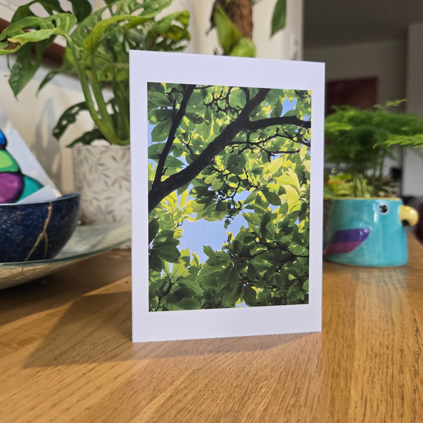 Through the Canopy - Fine Art Greetings Card